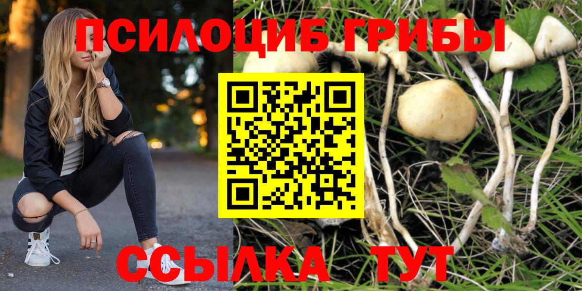 Галлюциногенные грибы ЛСД Сургут